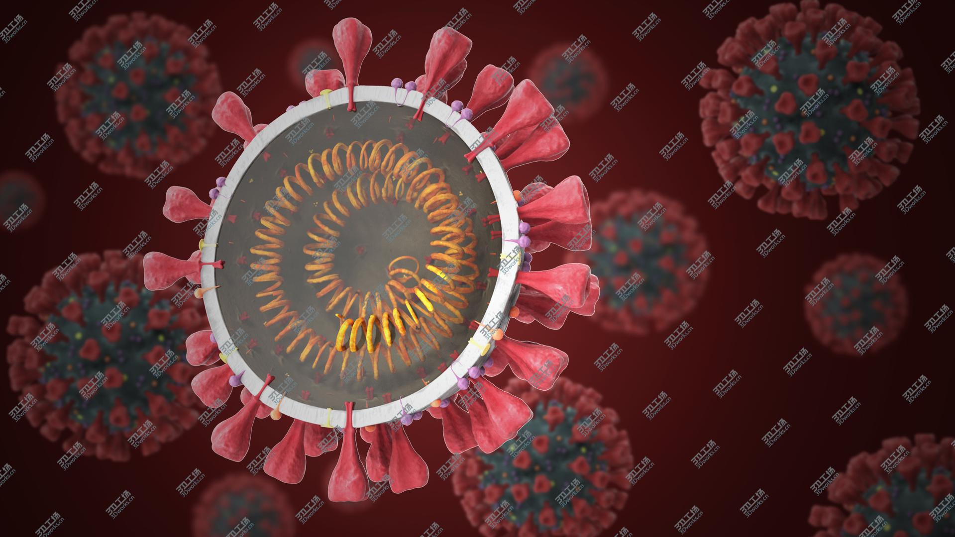 images/goods_img/202105072/Novel Coronavirus Collection 3D model/2.jpg